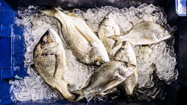 New ice-making systems will produce up to 51,000 kilos of ice a day news post thumbnail