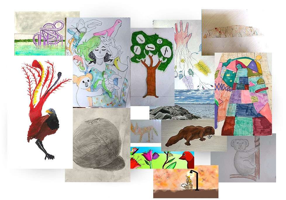 Collection of artworks from William Carey Christian School students