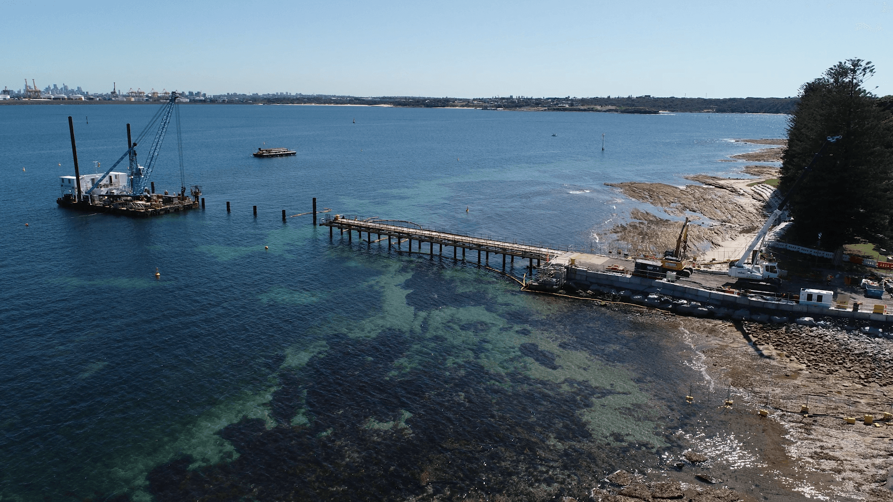 Video: Kamay Ferry Wharves environmental management of Posidonia australis seagrass