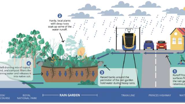 Waterfall Rain Gardens news post thumbnail