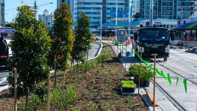 ​From tracks to trees – we are greening Stage 3  news post thumbnail