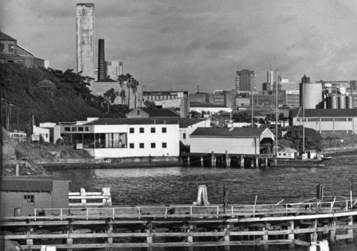 Blackwattle Bay urban renewal portal - A view of the site taken from the Glebe Island Bridge in 1976
