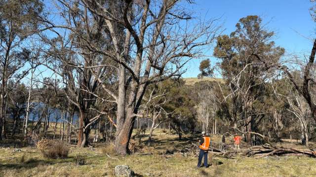 Ongoing field work from Muswellbrook to Armidale news post