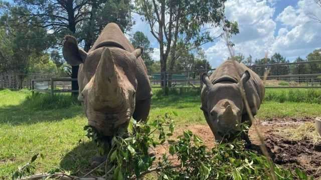 Waste not, feed lots: Road construction waste turned into animal feed and enrichment items at zoos news post thumbnail