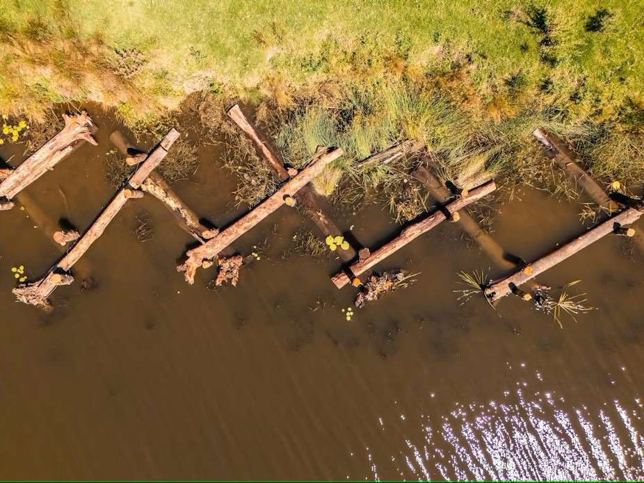 Logs repurposed for Williams River riverbank rehabilitation news post thumbnail