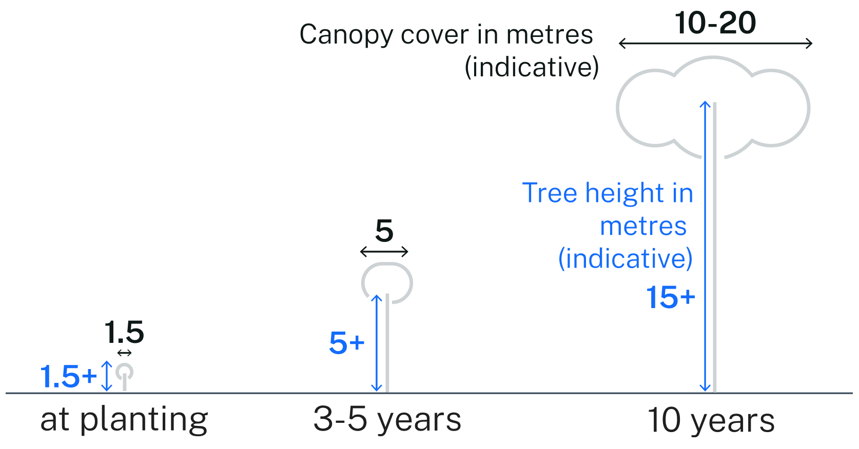 221108_Tree Growth rates final