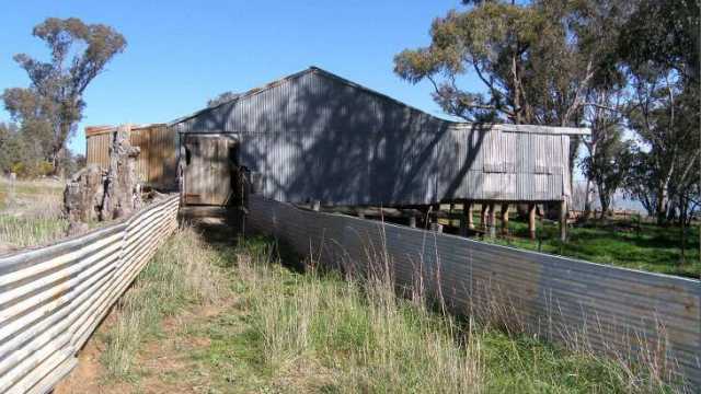 ShearingShed