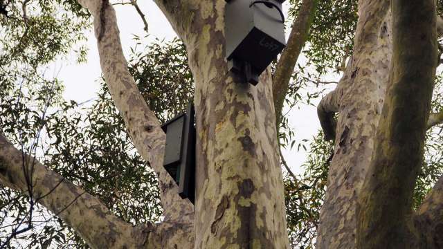 New homes for wildlife news post thumbnail