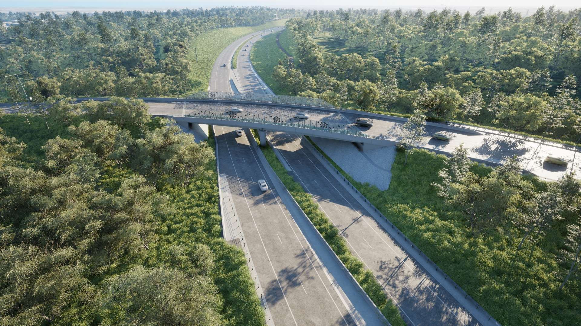 M1 Pacific Motorway extension to Raymond Terrace - Design update &nbsp; news post thumbnail