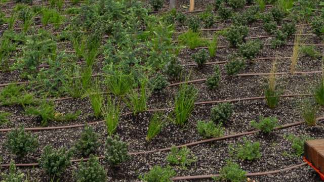 Public domain and landscaping progress update news post thumbnail