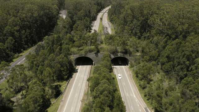 tumbnail_types of tunnels