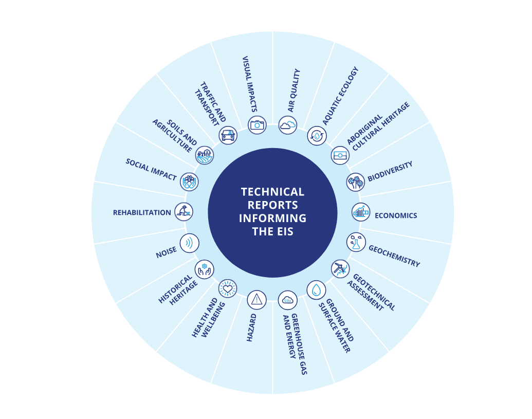 wheel graphic showing studies are being undertaken as part of the EIS preparation phase