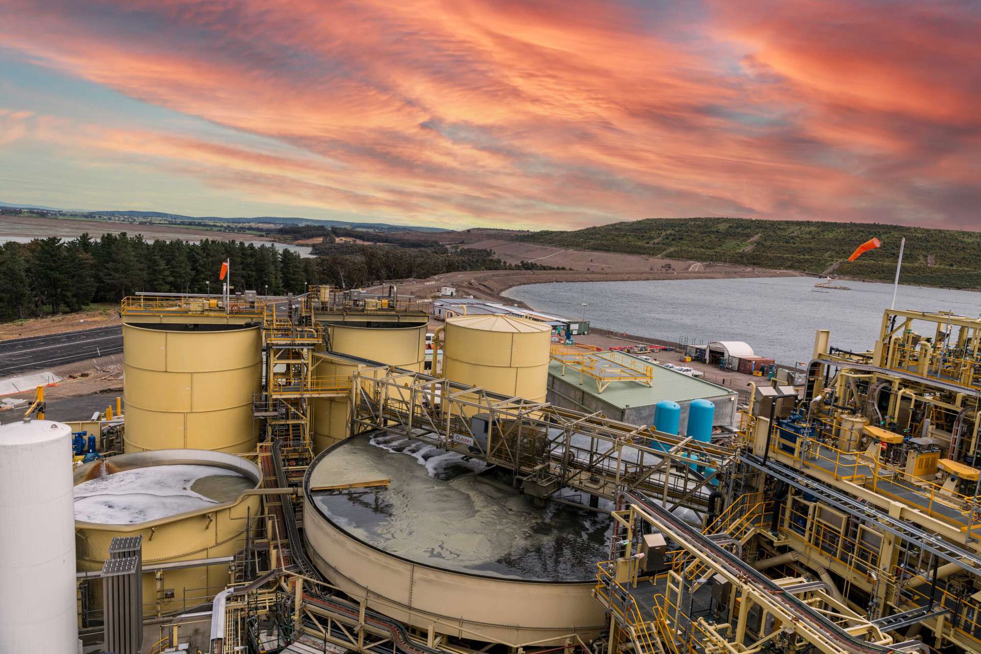 Contact - Moly Plant photo