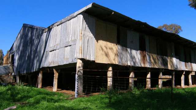 ShearingShed