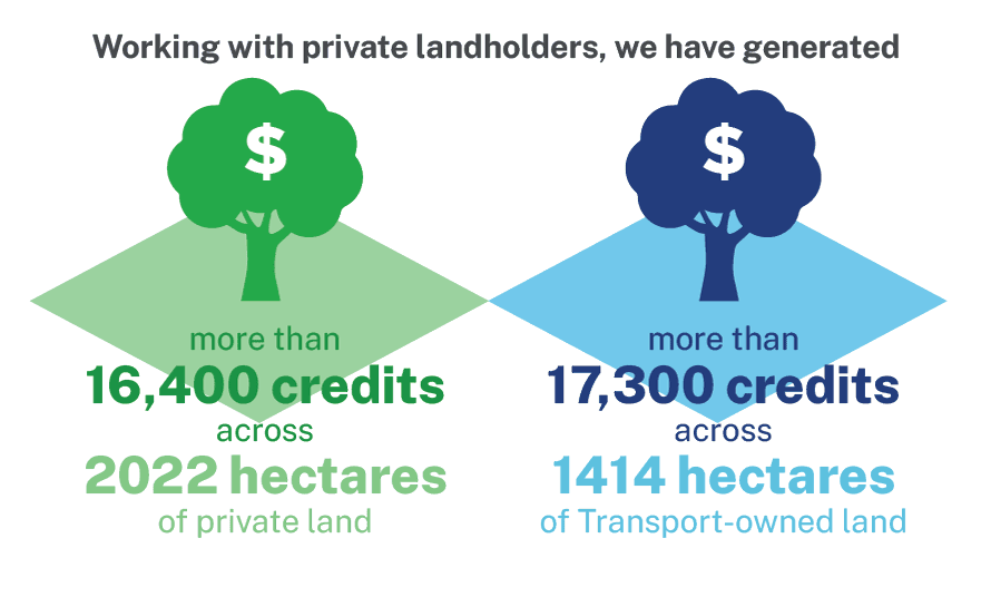 Infographic: Working with private landholders, we have generated more than 16,400 credits across 2022 hectares of land, as well as more than 17,300 credits across 1414 hectares of Transport-owned land.